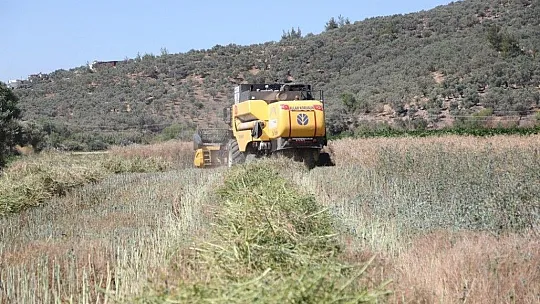 Bodrum Belediyesi, akaryakıtını kendi üretiyor