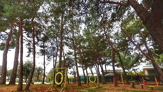 Bodrum Belediyesi'nden can dostlara jest, 'Dost patiler eğitim ve oyun parkı' açıldı