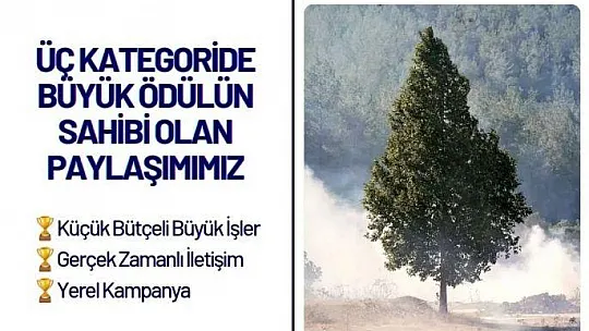 Bodrum Belediyesi'ne 3 ödül birden