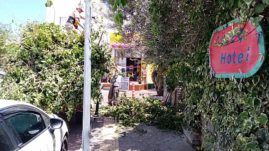 Bodrum Belediyesi sezon hazırlıklarına hız verdi  