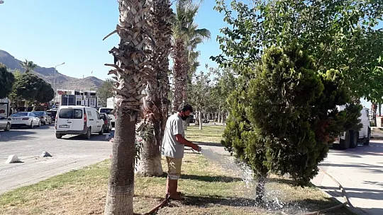 Bodrum Belediyesi sezon hazırlıklarına hız verdi  