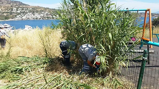 Bodrum Belediyesi sezon hazırlıklarına hız verdi  