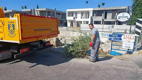 Bodrum'da 14 bin 962 ton evsel atık toplandı