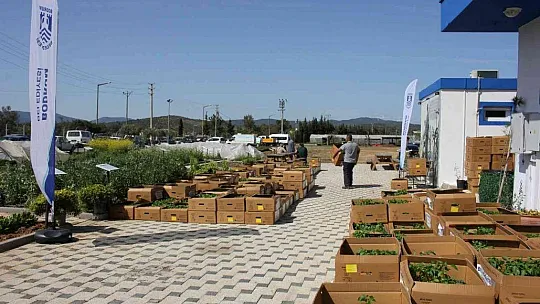 Bodrum'da 142 bin hibe fide üreticiyle buluştu