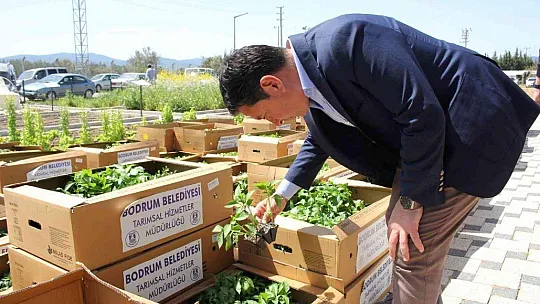 Bodrum'da 142 bin hibe fide üreticiyle buluştu