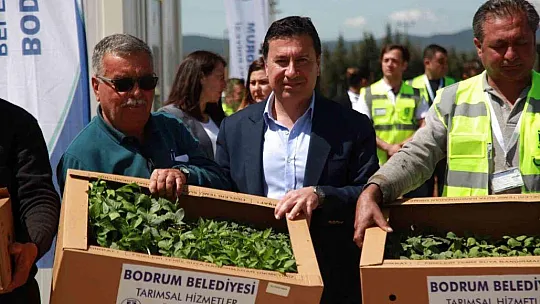 Bodrum'da 142 bin hibe fide üreticiyle buluştu