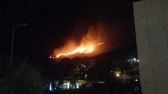 Bodrum'da 2 hektar alan yanında zarar gördü