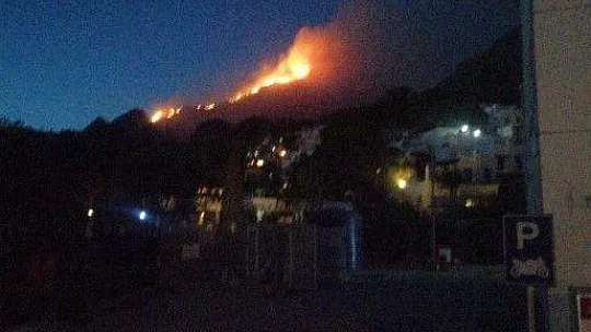 Bodrum'da 2 hektar alan yanında zarar gördü