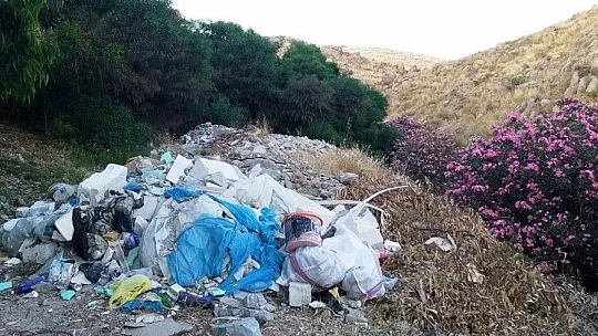 Bodrum'da 300 kaplumbağa için kurtarma operasyonu