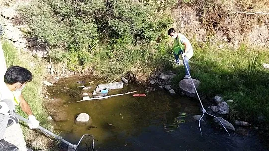 Bodrum'da 300 kaplumbağa için kurtarma operasyonu