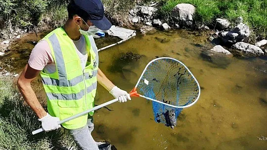 Bodrum'da 300 kaplumbağa için kurtarma operasyonu