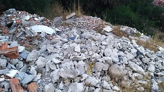 Bodrum'da 300 kaplumbağa için kurtarma operasyonu