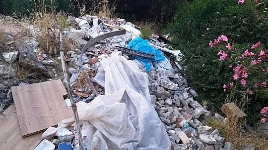 Bodrum'da 300 kaplumbağa için kurtarma operasyonu