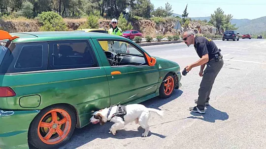 48 saatte 50 bin araç girdi