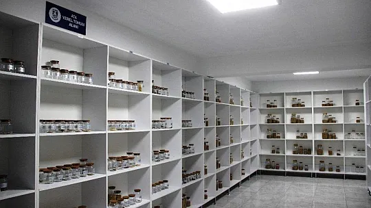 Bodrum'da 7 bin yıllık ata tohumları toprakla buluştu
