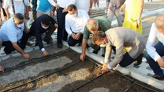 Bodrum'da 7 bin yıllık ata tohumları toprakla buluştu