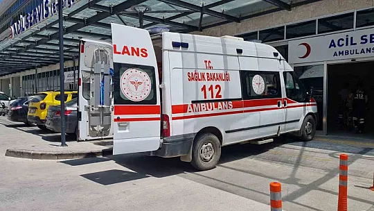 Uraz Bebek öldü, ablası yaşam mücadelesi veriyor