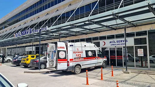 Uraz Bebek öldü, ablası yaşam mücadelesi veriyor