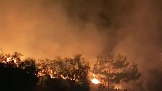 Makilik alanda çıkan yangın geceyi aydınlattı