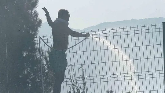 Ali Kelle Ormanı kül oldu