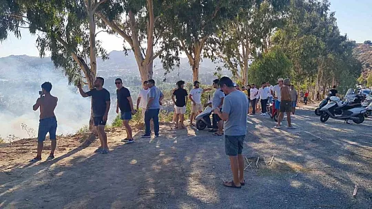 Ali Kelle Ormanı kül oldu