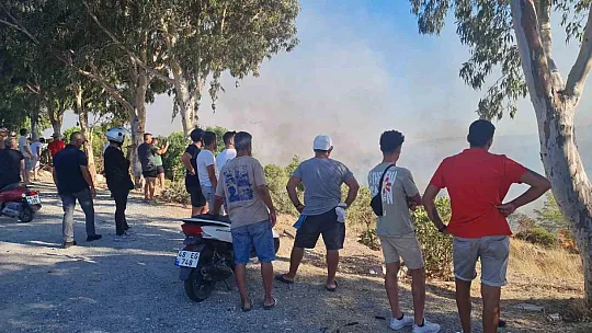 Ali Kelle Ormanı kül oldu