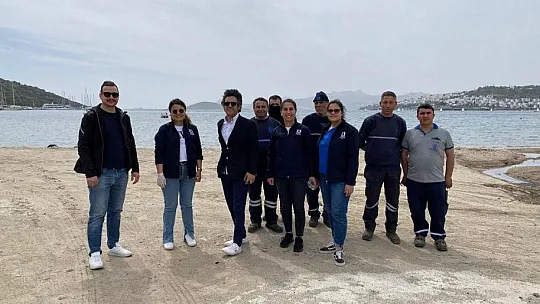 Bodrum'da bahar temizliği