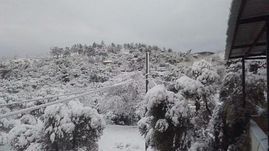 Bodrum da beyaza büründü
