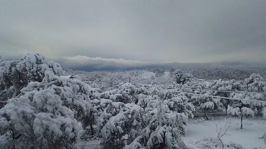 Bodrum da beyaza büründü