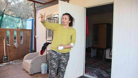 Bodrum'da bıçaklı saldırgan dehşeti