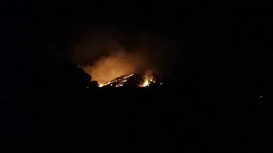 Bodrum'da çıkan yangın evlere ulaşmadan kontrol altına alındı
