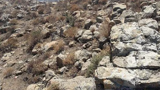 Bodrum'da çıkan yangın kısa sürede söndürüldü