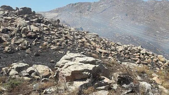 Bodrum'da çıkan yangın kısa sürede söndürüldü