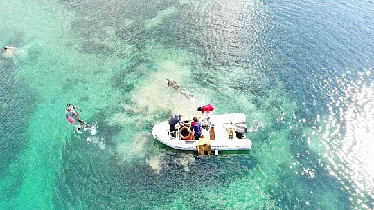 Bodrum'da deniz pırıl pırıl oldu
