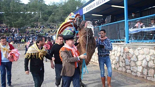 Bodrum'da deve güreşlerine yoğun ilgi