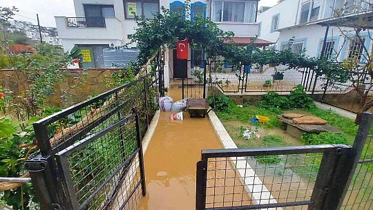 Bodrum'da ev ve iş yerlerini su bastı, deniz çamura dönüştü