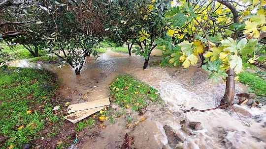 Bodrum'da ev ve iş yerlerini su bastı, deniz çamura dönüştü