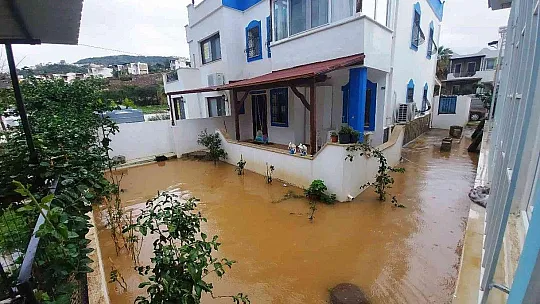 Bodrum'da ev ve iş yerlerini su bastı, deniz çamura dönüştü