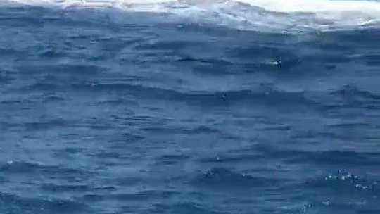 Bodrum'da facianın eşiğinden dönüldü