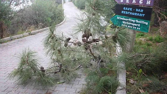 Bodrum'da fırtına kabusu