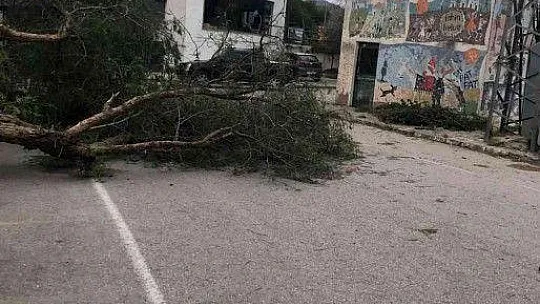 Bodrum'da fırtına kabusu
