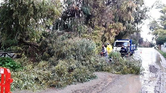Bodrum'da fırtına ve dolu kabusu