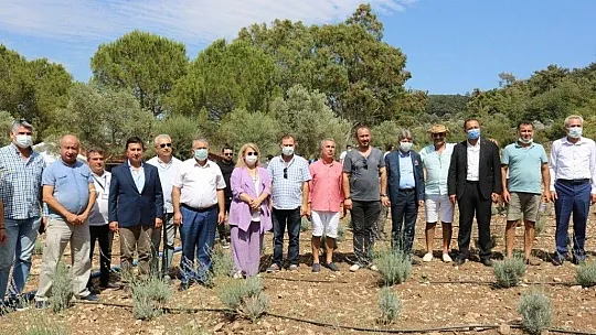 Bodrum'da Gençlik Tarım Kampı başladı