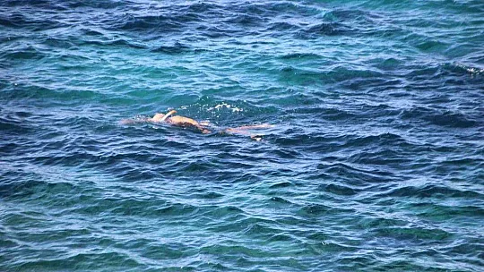 Bodrum'da güneşi gören sahile koştu