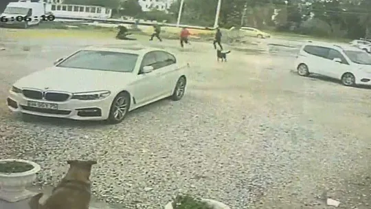 Bodrum'da güpegündüz öldüresiye darp