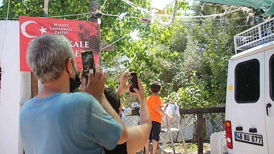 Bodrum'da iguana alarmı