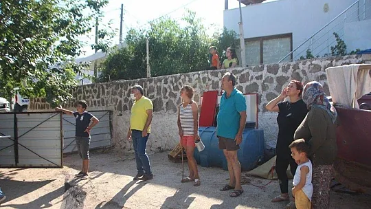 Bodrum'da iguana alarmı