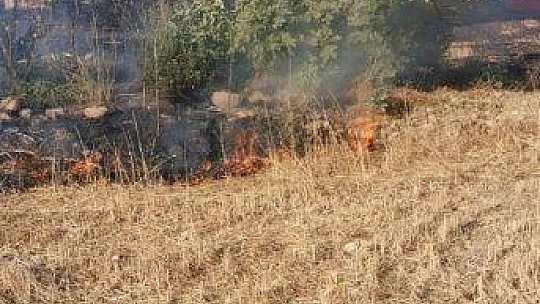 Bodrum'da itfaiye ekipleri 12 saatte 12 olaya müdahale etti