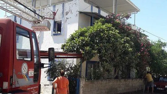 Bodrum'da itfaiye ekipleri 12 saatte 12 olaya müdahale etti