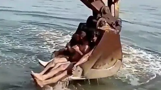 Bodrum'da kepçeli deniz keyfi